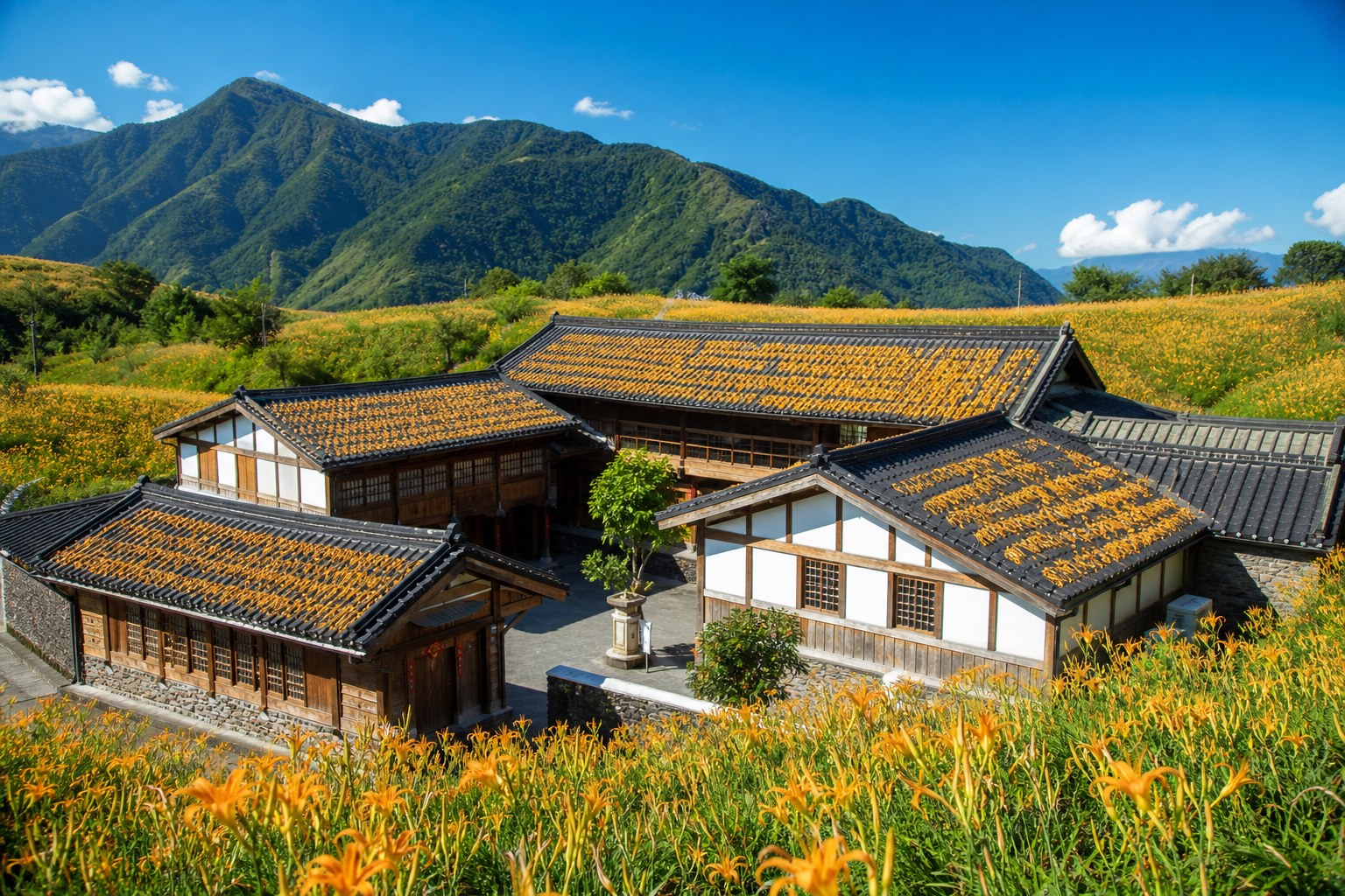赤科山汪家古厝屋頂曬金針