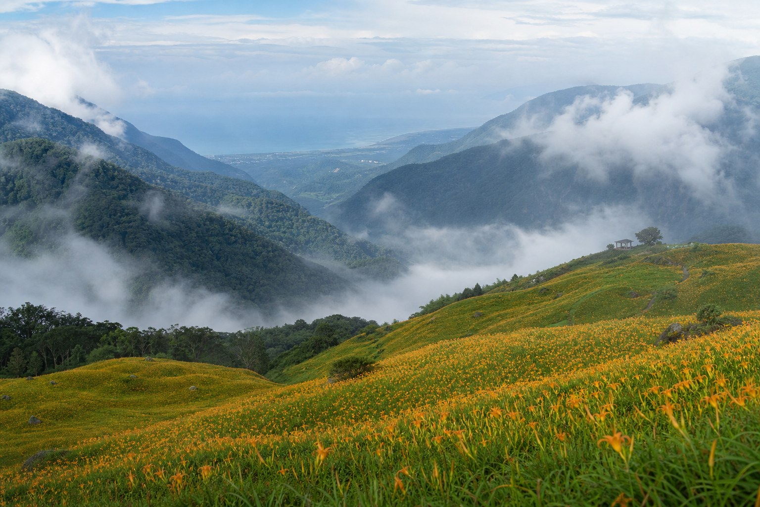 忘憂谷:雲霧飄渺間的金針花山谷,清晨與午後景色截然不同(AI 生成示意圖)
