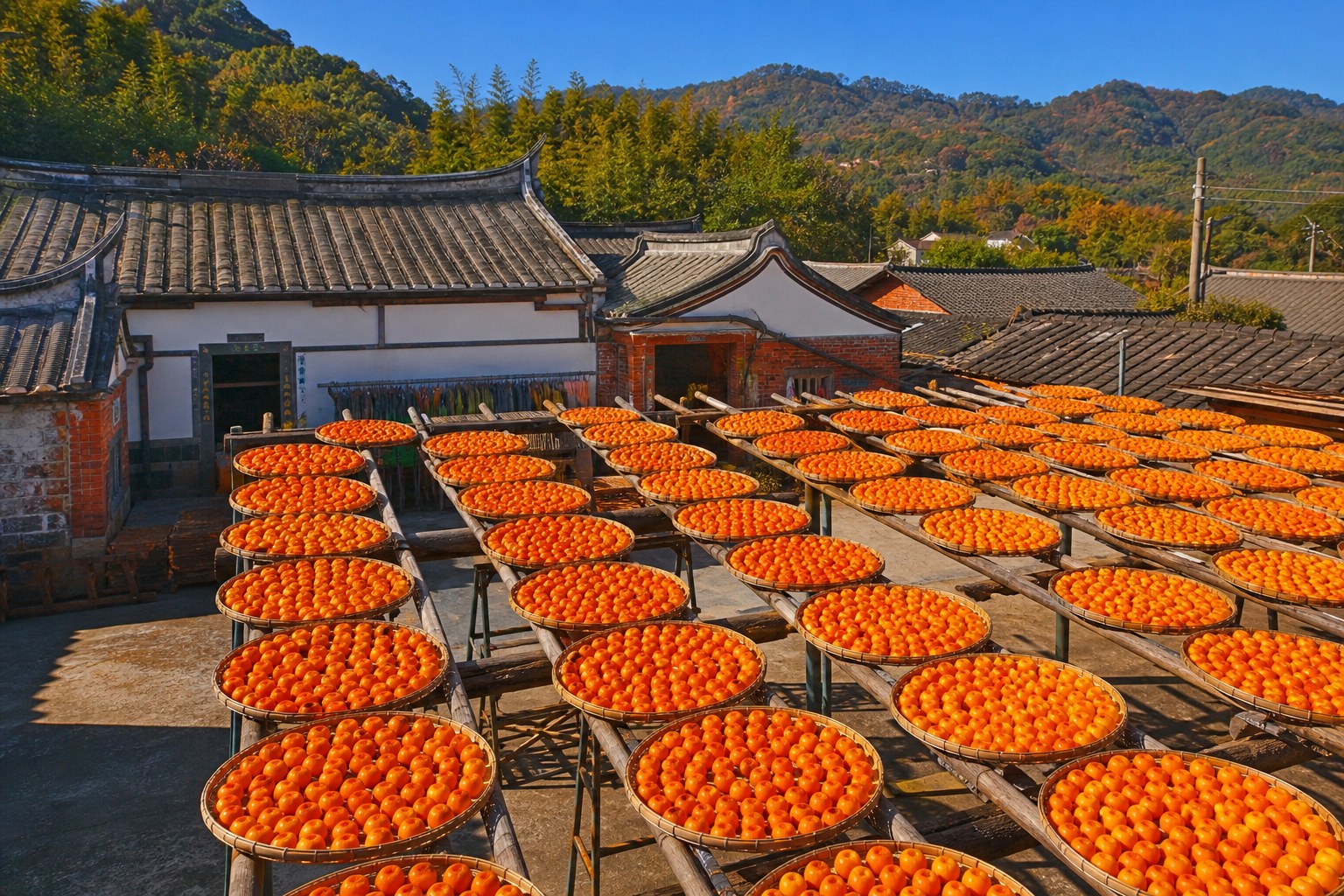 新埔旱坑里的柿餅曬場,一格格橙紅柿子鋪滿曬架,九降風與秋陽是柿餅熟成的關鍵(AI 生成示意圖)
